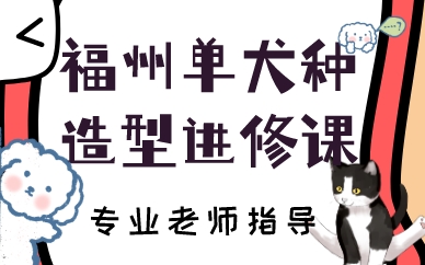 福州单犬种造型进修课