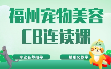 福州宠物美容CB连读课
