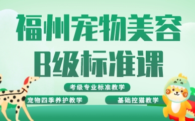 福州宠物美容B级标准课