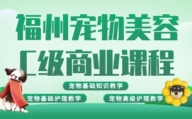 福州宠物美容C级商业课程