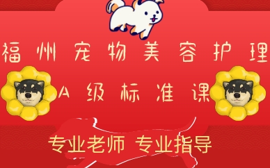 福州宠物美容护理A级标准课
