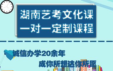 湖南艺考文化课一对一定制课程