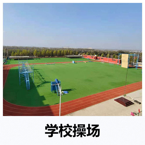 學(xué)校操場(chǎng)