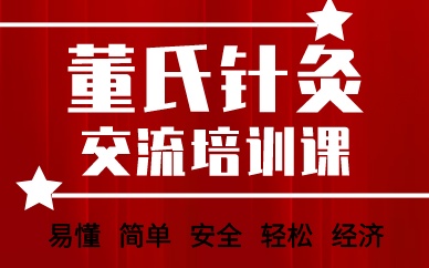 成都董氏针灸交流培训课