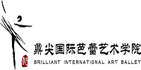深圳懿鼎尖国际艺术培训中心