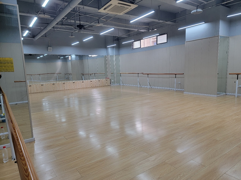 舞蹈室環(huán)境 舞蹈室環(huán)境