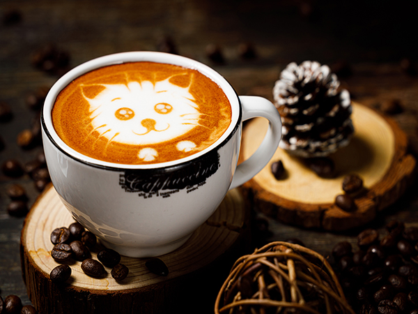 成品展示 成品展示