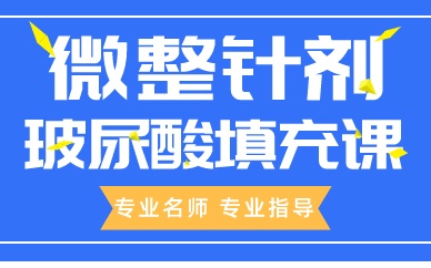 成都微整针剂玻尿酸填充课