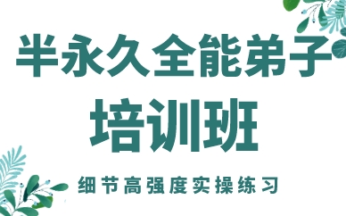 成都半永久全能弟子培训班