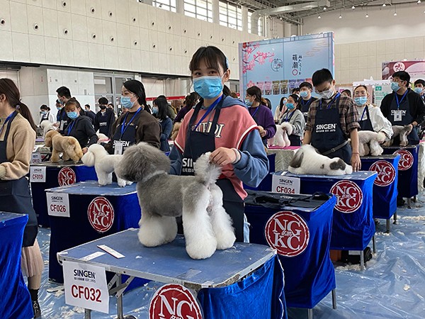 实操教学 实操教学