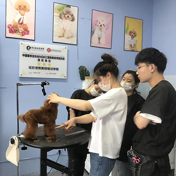 训练现场 训练现场