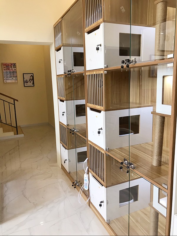 环境展示 环境展示