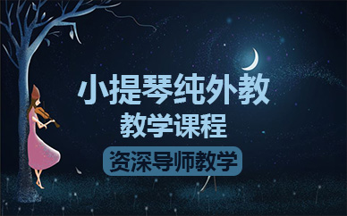 北京小提琴纯外教教学课程
