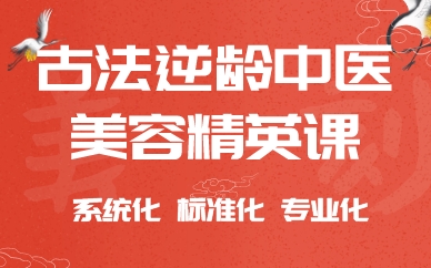 成都古法逆龄中医美容精英课