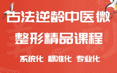 成都古法逆龄中医微整形精品课程