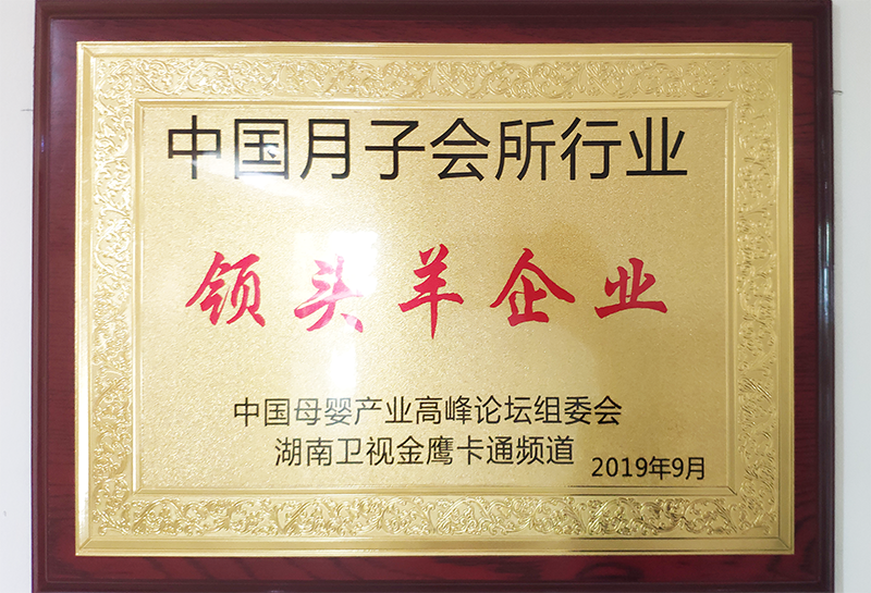 ”领头羊“企业