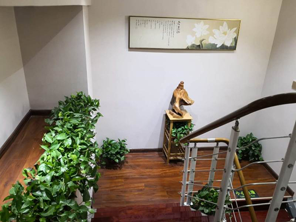 樓道環(huán)境 樓道環(huán)境