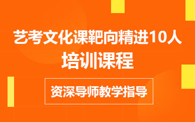 济南艺考文化课靶向精进10人培训课程