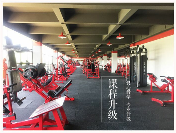 训练器械 训练器械