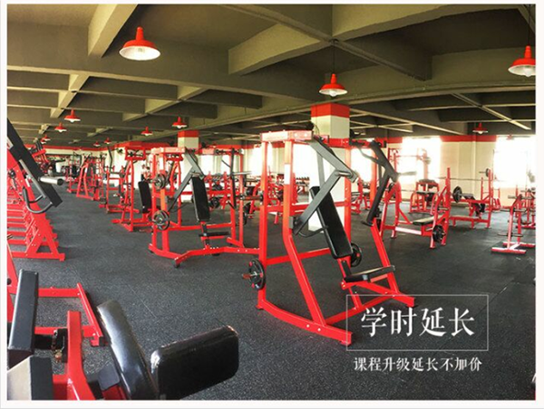 训练用器 训练用器