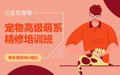 长沙宠物高级萌系精修培训班