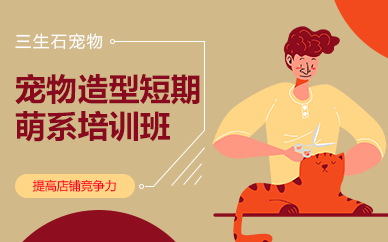 长沙宠物造型短期萌系培训班