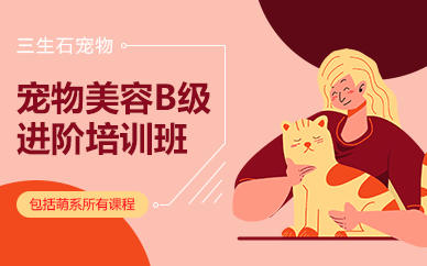 长沙宠物美容B级进阶培训班