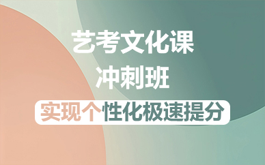 佛山艺考文化课冲刺班