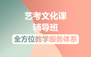 佛山艺考文化课辅导班