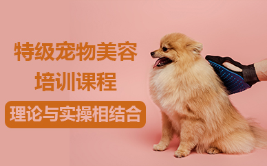 北京特级宠物美容培训课程