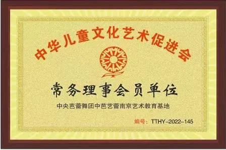 中华儿童文化艺术促进会常任理事会员单位 中华儿童文化艺术促进会常任理事会员单位