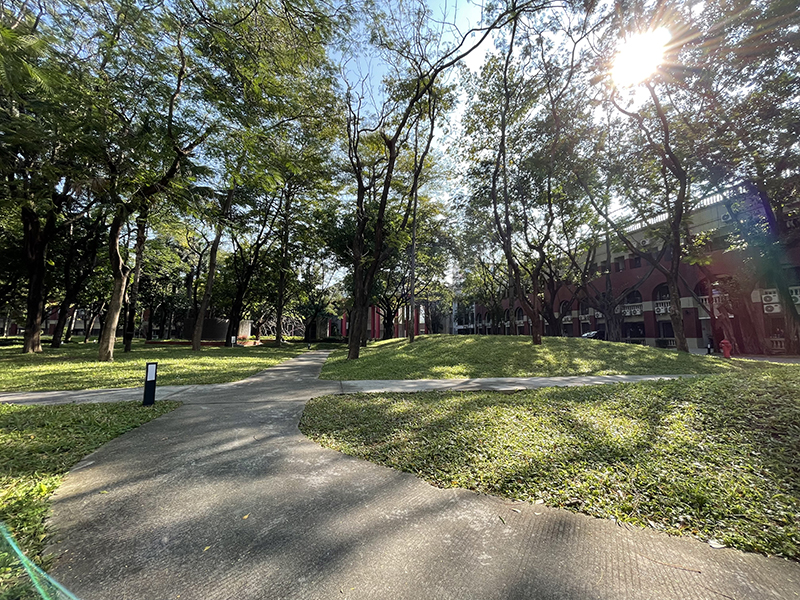 園區(qū)花園 園區(qū)花園