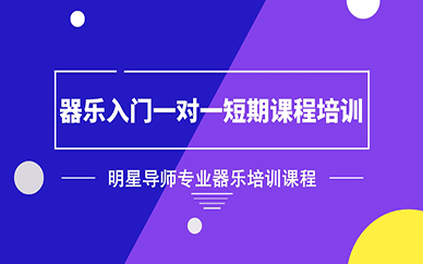 成都器乐入门一对一短期课程培训