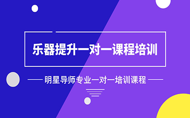 成都乐器提升一对一课程培训