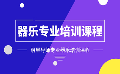 成都器乐专业培训课程