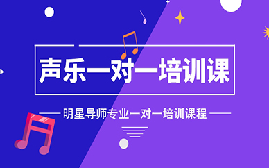 成都声乐一对一培训课