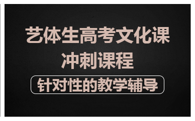 佛山艺体生高考文化课冲刺课程