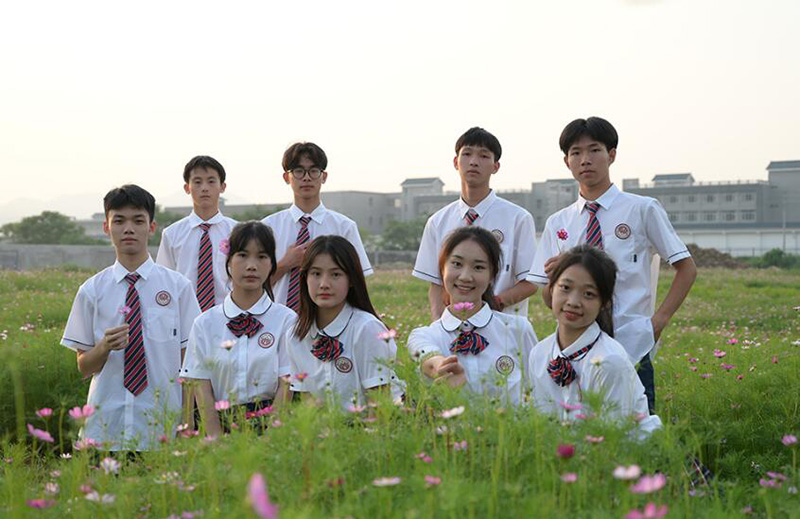 格桑花海 格桑花海