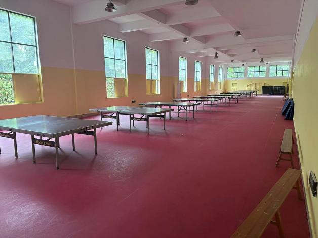 桌面球类场地