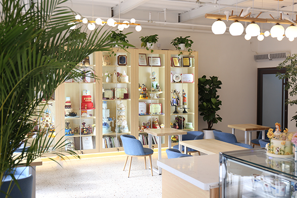 环境展示 环境展示