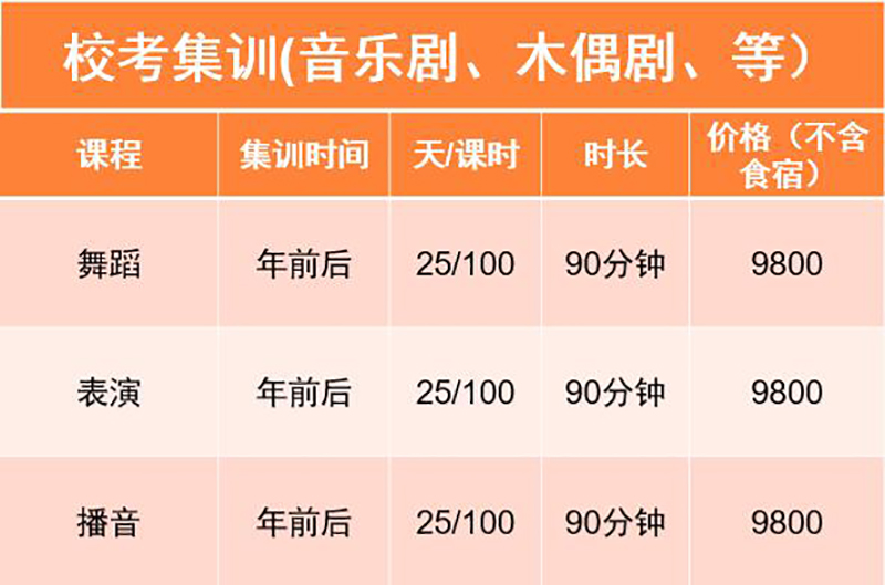 校考集训(音乐剧、木偶剧、等）