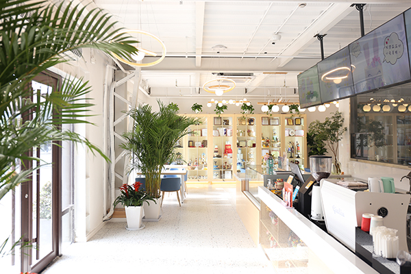 環(huán)境展示 環(huán)境展示