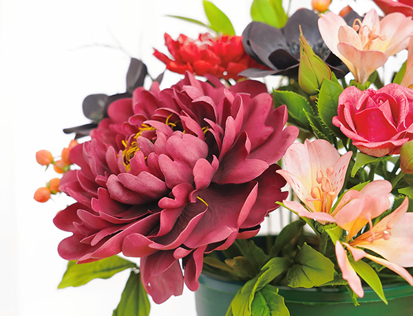 作品展示 作品展示