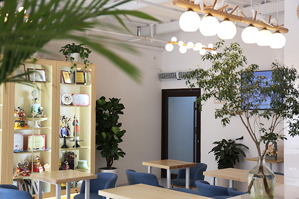 环境展示 环境展示