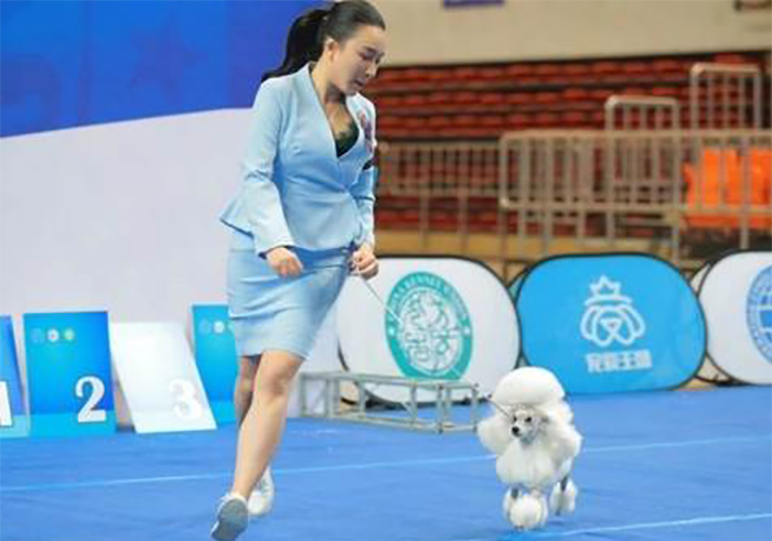 学员风采 学员风采