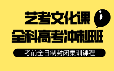 合肥艺考文化课全科高考冲刺班