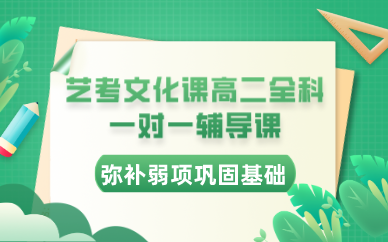 合肥艺考文化课高二全科一对一辅导课