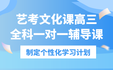合肥艺考文化课高三全科一对一辅导课