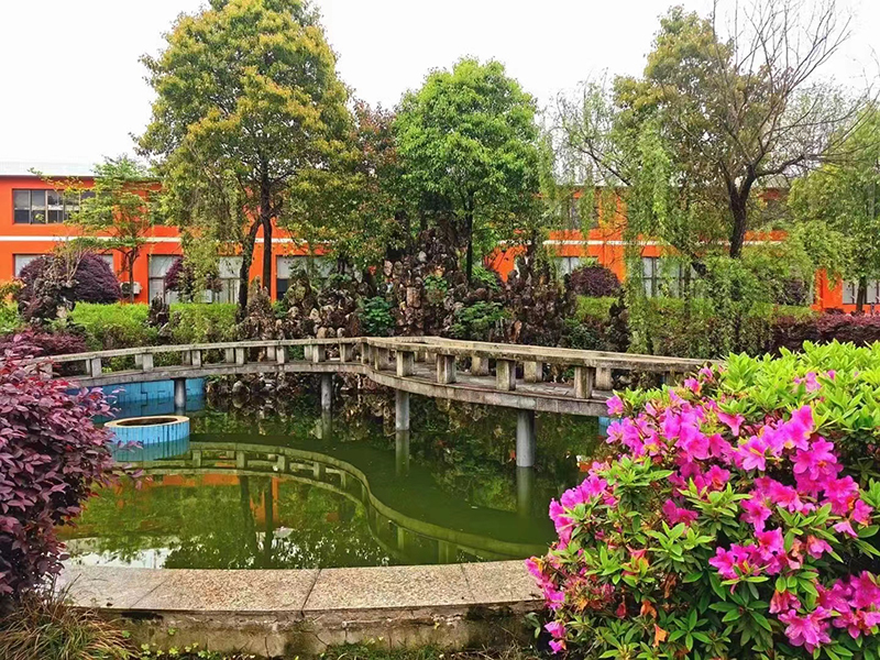 校园景色 校园景色