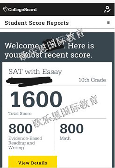 成绩展示 成绩展示